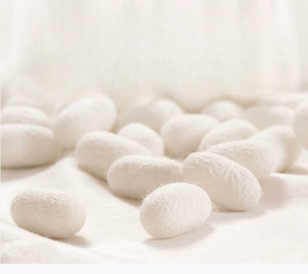  25mm Silk Memory Foam Bread Pillow